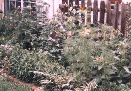 scan0005.tif